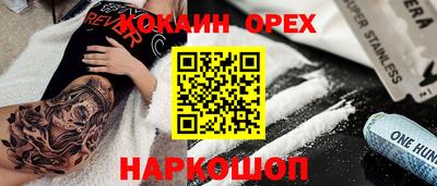 молекула духа Кингисепп