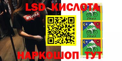 молекула духа Кингисепп