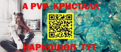 молекула духа Кингисепп
