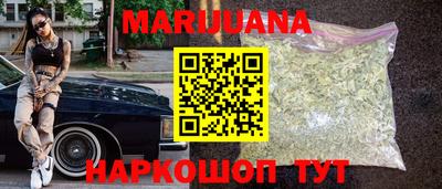 молекула духа Кингисепп
