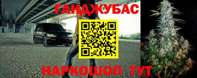 молекула духа Кингисепп