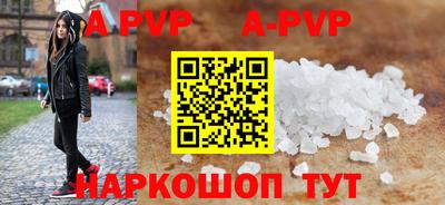 молекула духа Кингисепп