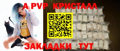 молекула духа Кингисепп