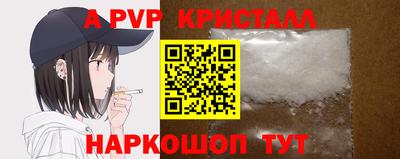 молекула духа Кингисепп